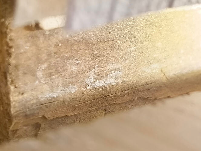 IMG_20260130_173937013